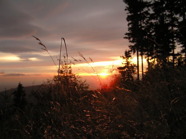1170490476_img_55.jpg